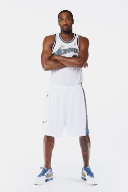 Gilbert Arenas