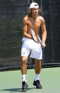 David Ferrer