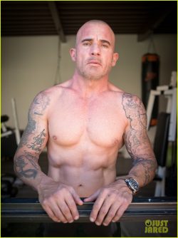 Dominic Purcell