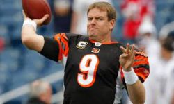 Carson Palmer