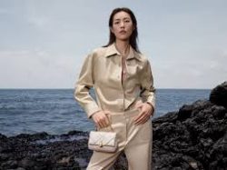 Liu Wen