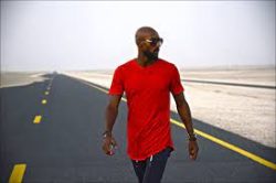 Nicolas Sébastien Anelka