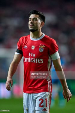 Pizzi