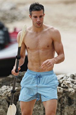 Robin Van Persie