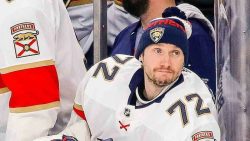 Sergei Bobrovsky