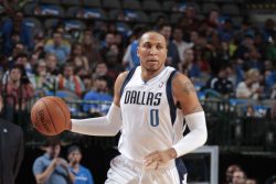 Shawn Marion