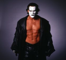 Steve Borden “Sting”