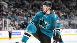 Tomas Hertl