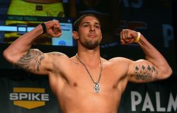 Brendan Schaub
