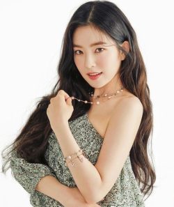 Bae Ju Hyun ( Irene )