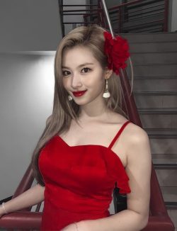 Minatozaki Sana ( Sana )