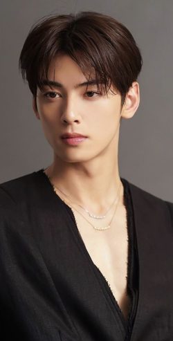 Lee Dong Min ( Cha Eun Woo )