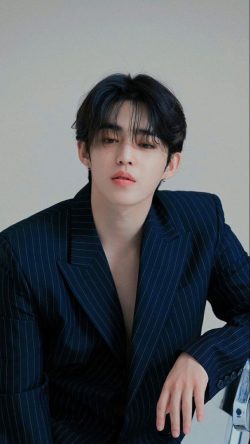 Choi Seung Cheol ( S.Coups )
