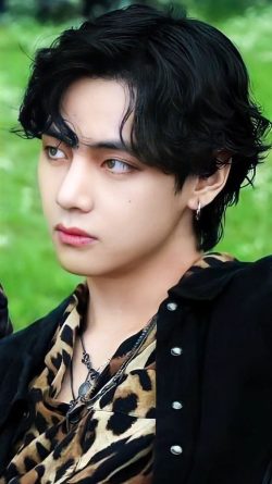 Kim Tae Hyung ( V )