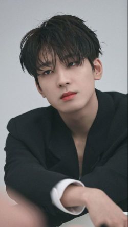 Jeon Won Woo ( Wonwoo )