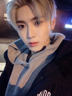 Love ( Park Jisung )