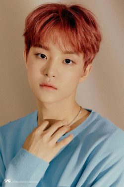 Jihoon ( Park Jihoon )