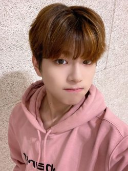 Lee Jin-woo