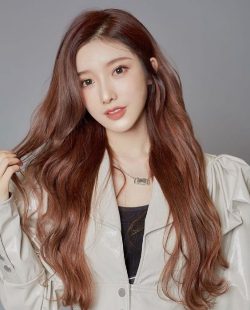 Dai Yanni (Flora)