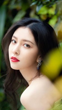 Song Yanfei (Cecilia Boey)