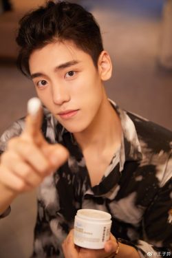 Wang Ziyi (Boogie Wang)