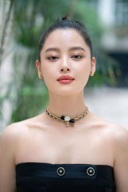 Xin Zhilei