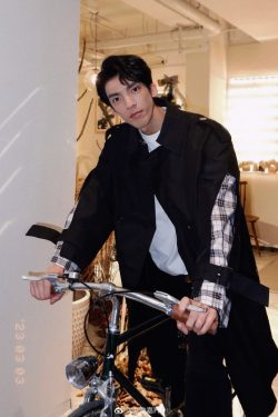 Hong Junjia