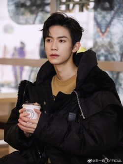 Wang Yijun